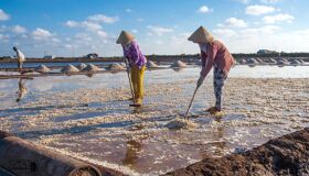 Begin your visa-prepared day with Vietnam’s tranquil ambiance